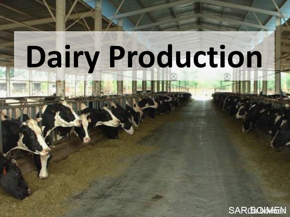 Dairy Production Manager