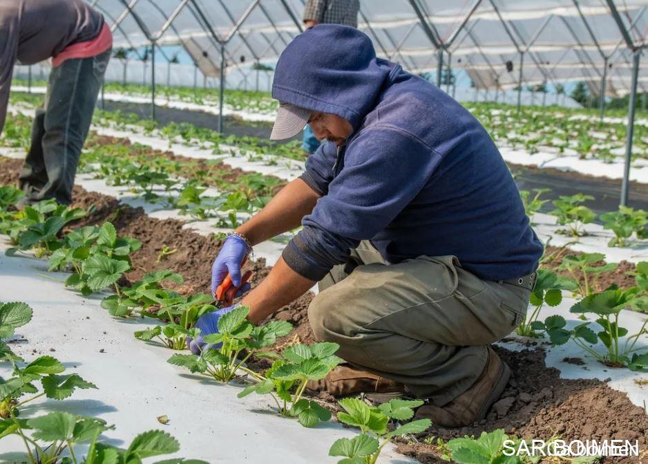 High Paying Farming Jobs